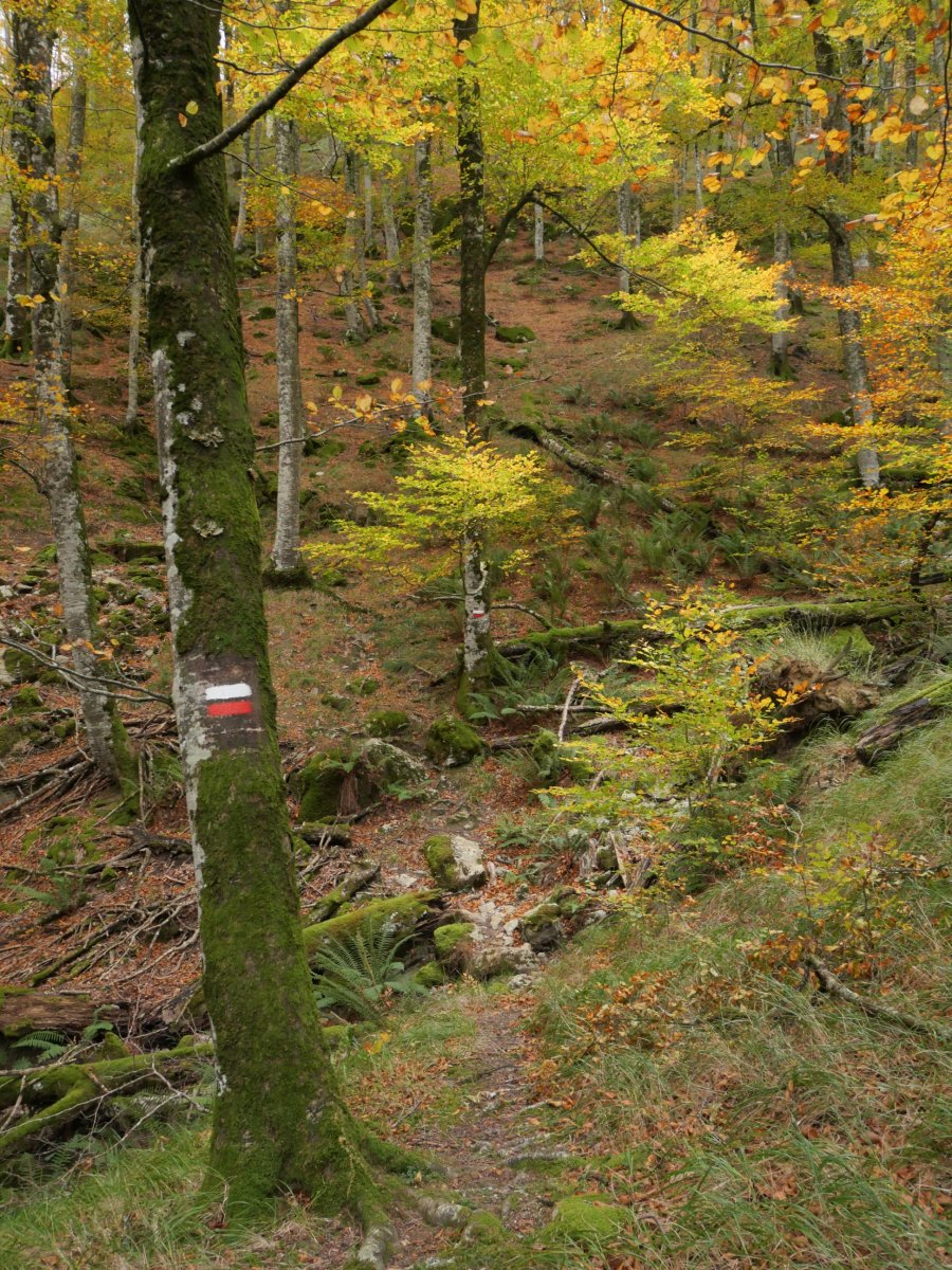 Gr-20aren arrastoan Lizarrusti aldeko hegian