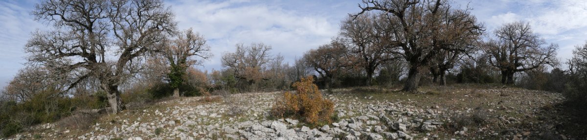 Obiarri gaineko paisaia hegoaldeko ertzaren inguruan