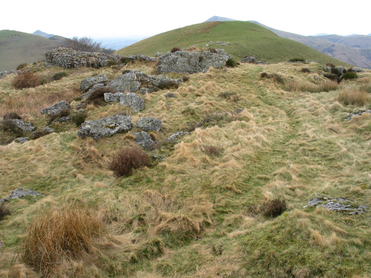 Antsestegiko Harriaren gain aldea