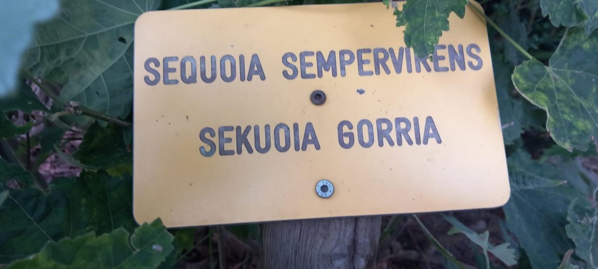 Udalak jarritako kartela