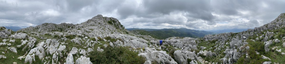 Pico del carlista