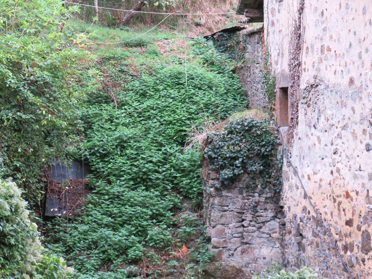 Urkillo errota, Zuia