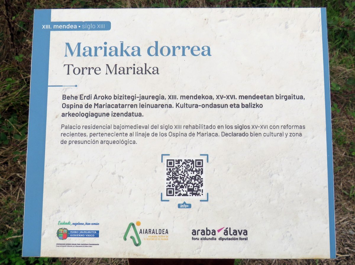 Mariaka dorrea, Amurrio