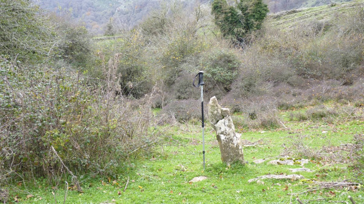 Argiñekoleze 23 de noviembre de 2024