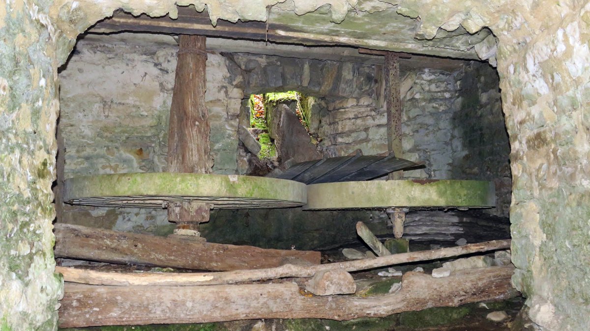 Artxuako errota, Artxua-Kuartango