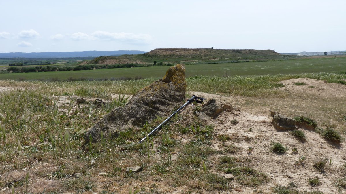 CORAL DE LA FALCONERA