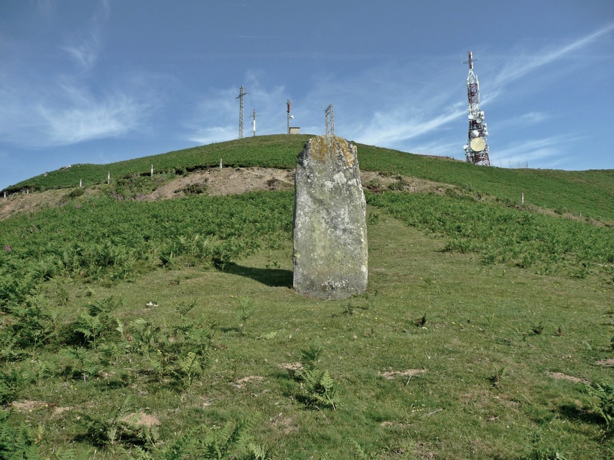 Iruñarri (Elazmuño) Trikuharria