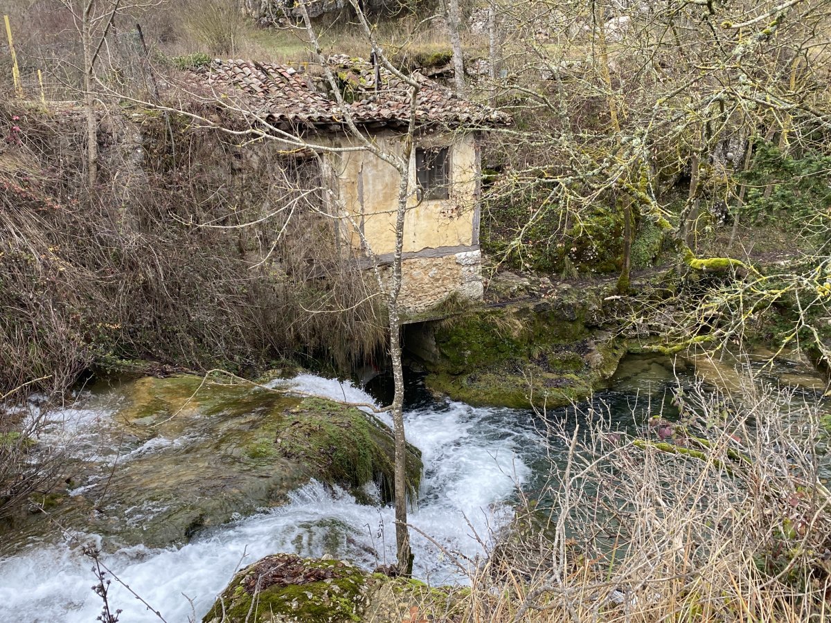 Errota. Trebiñu (Saseta)