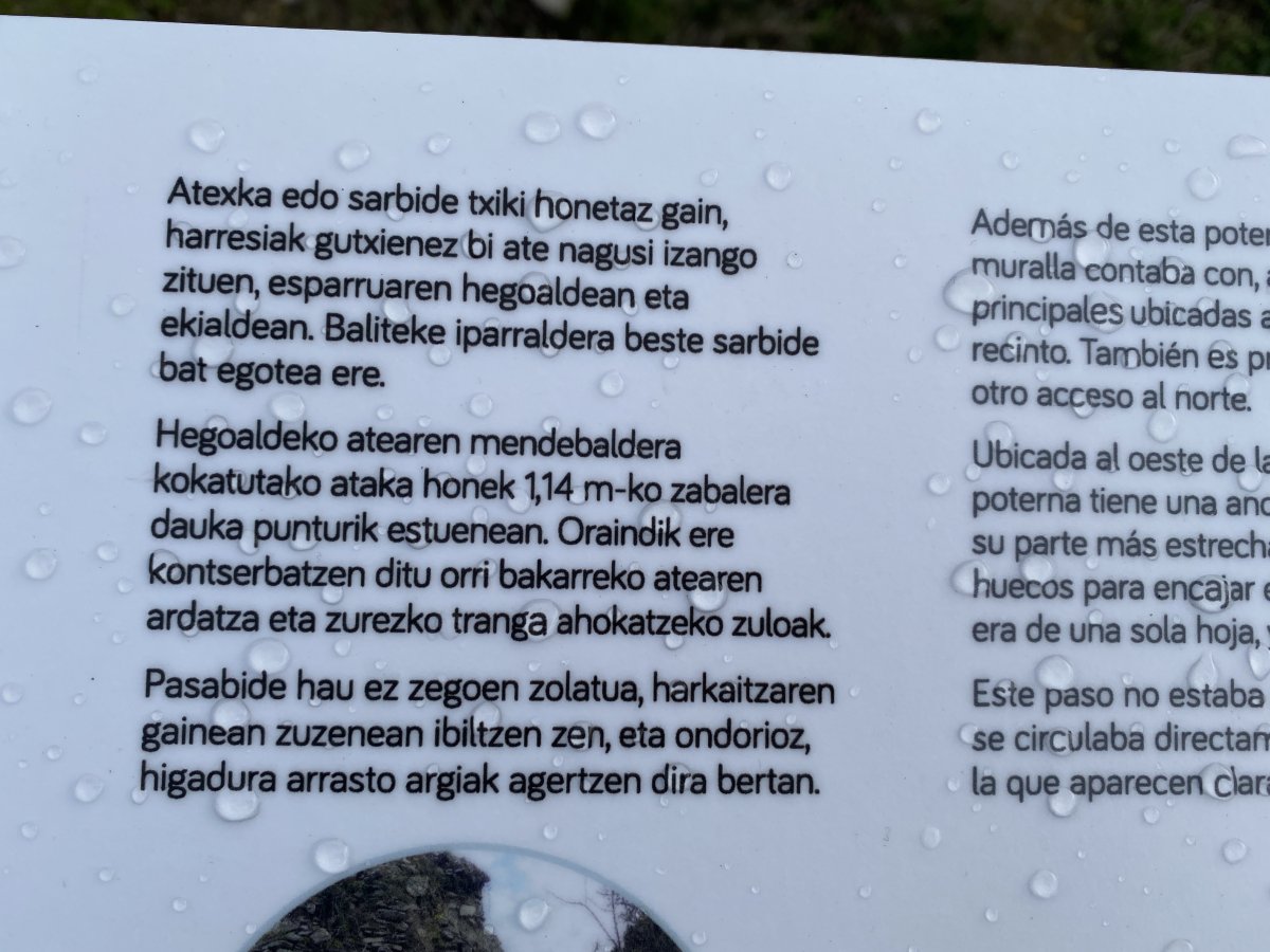 Mendebaldeko Ataka. Iruña Oka (Iruña Veleia)