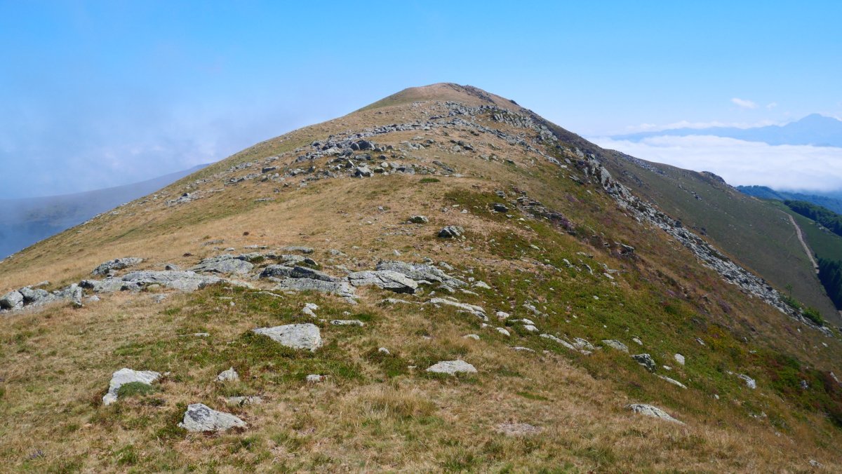 Txangoa, mendebaldeko bizkarrean gora