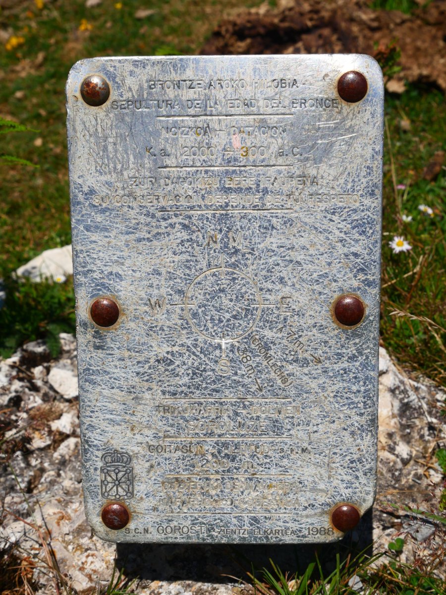 Soroluxe trikuharria