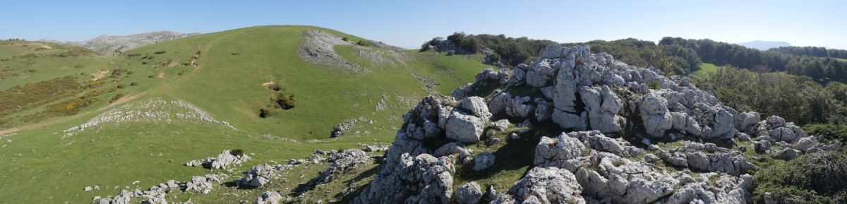Atxispuru tontorra eta Desaomendi