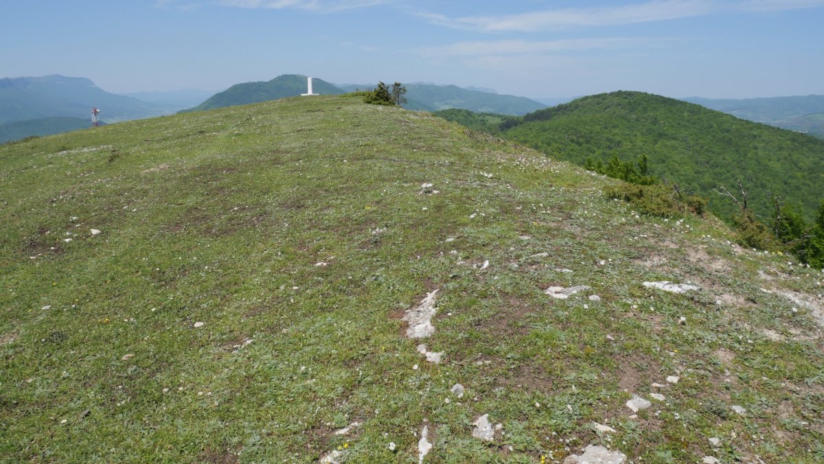 Mintxegi tontorra ekialdetik
