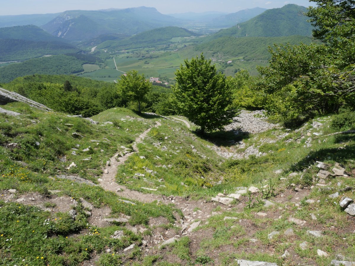 Arriaunditik Larunbe aldera jaisten den bidea