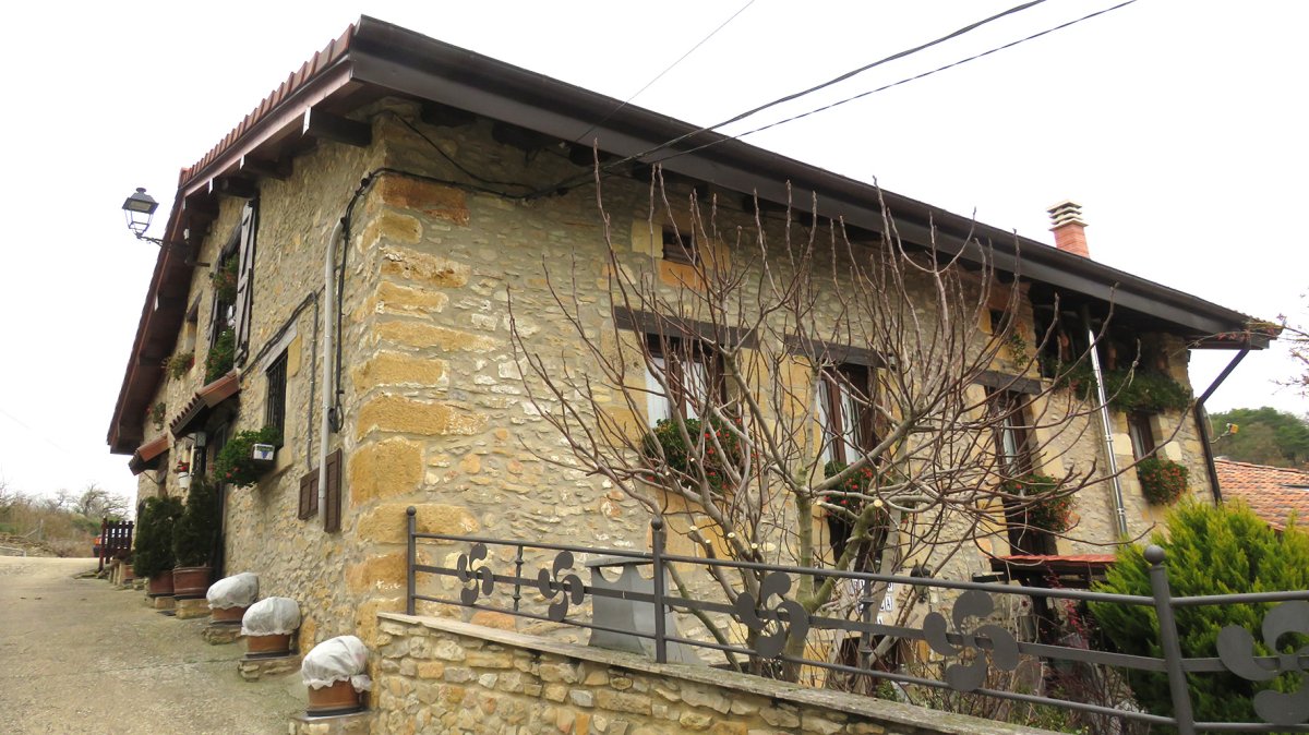 Pinedo Etxea, Mioma-Gaubea