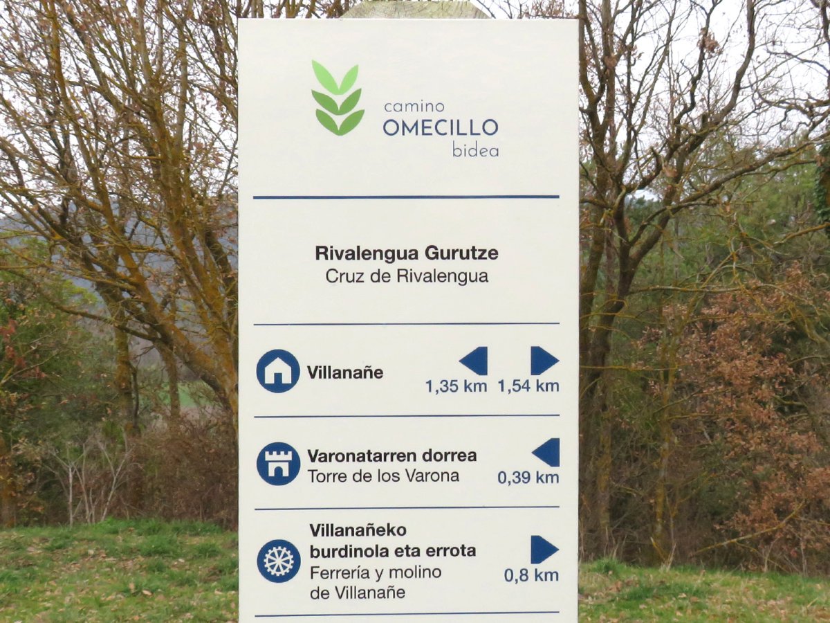 Rivalengua gurutzea, Villanañe-Gaubea