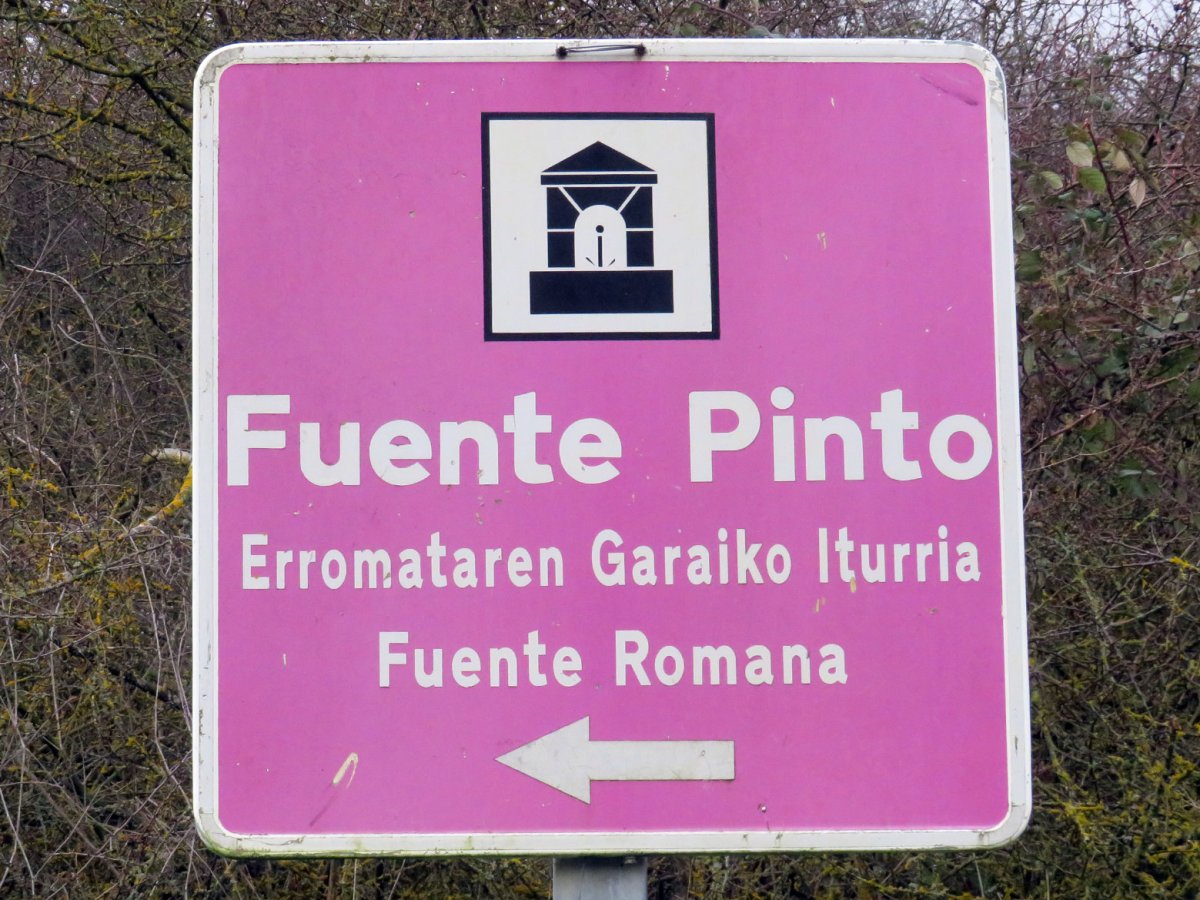 Pinto iturria, Castillo Sopeña-Erriberagoitia