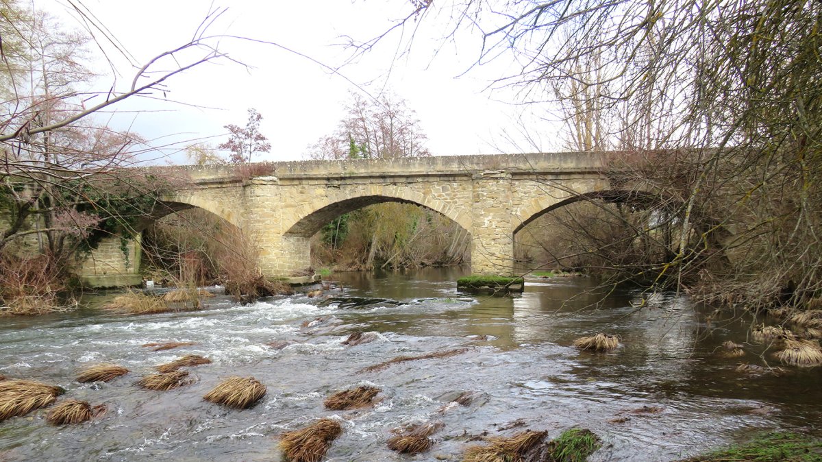 Zubia (Castillo Sopeña eta Anuntzeta), Erriberagoitia
