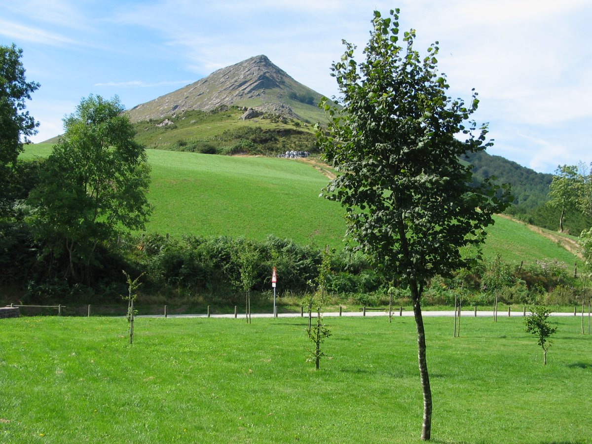 Lizarmeakako parketik ikusita