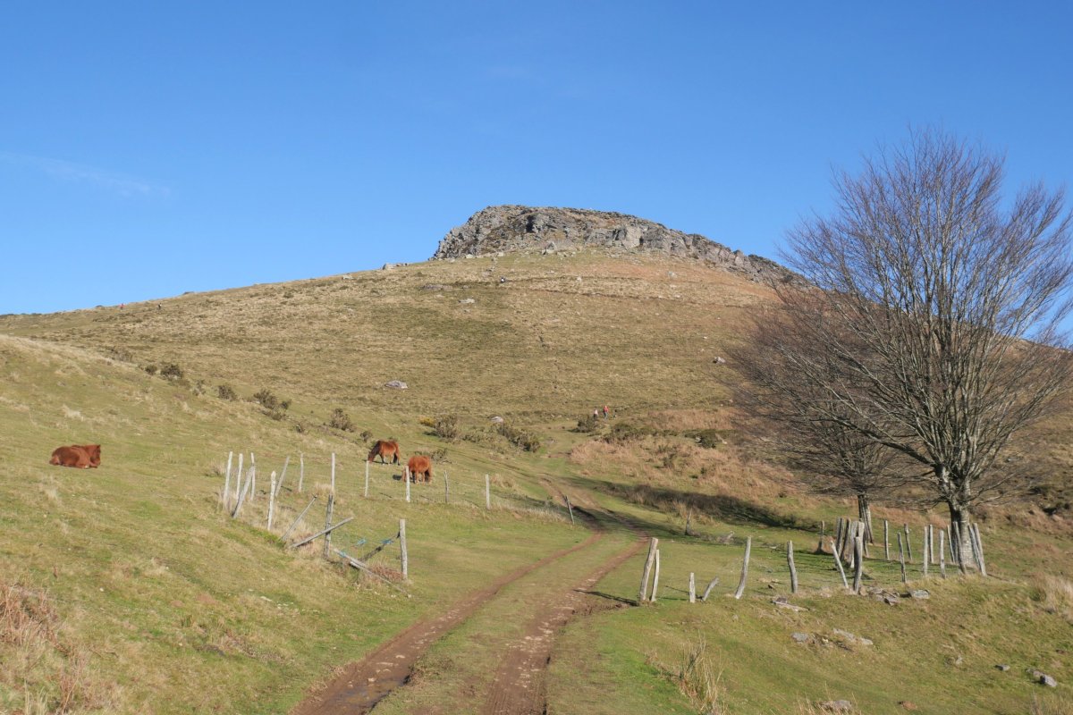Alkurrutz Zuretako lepoaren ingurutik