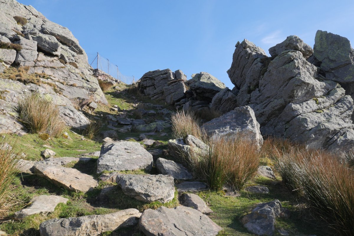 Igoerako azken txanpa hegoaldetik, Alkurruntz