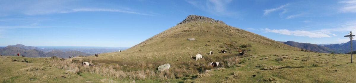 Zuretako lepoa eta Alkurruntz