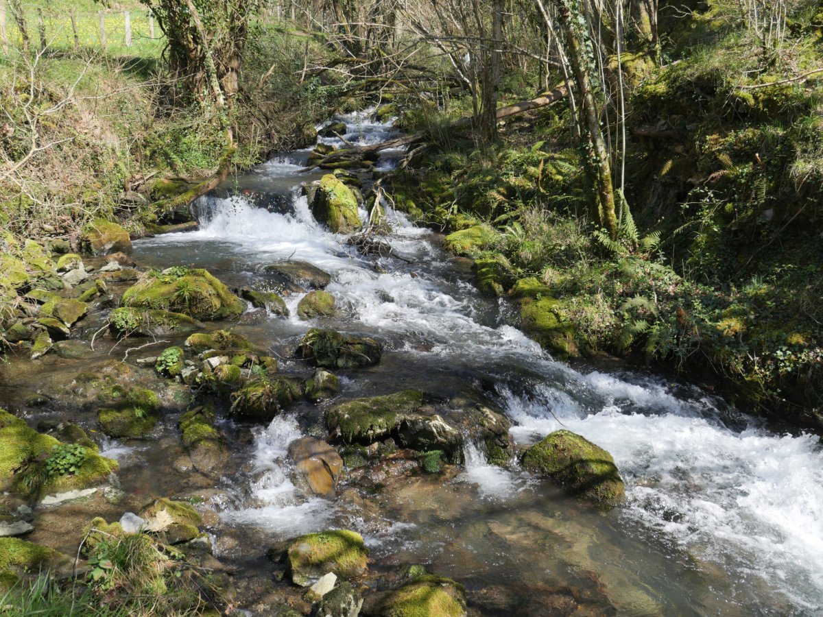 Antzubiaga erreka, ur-jauzia baino beherago
