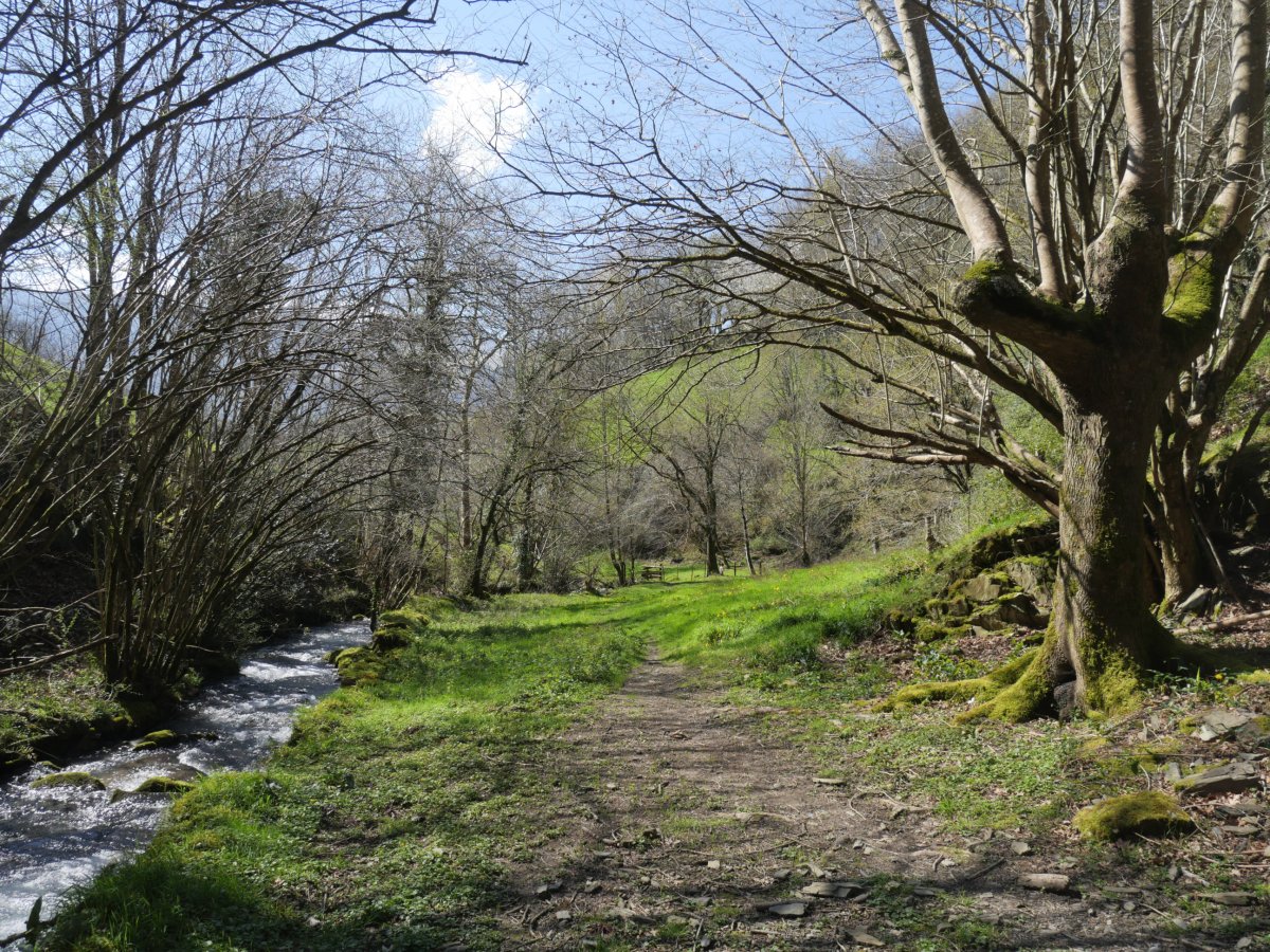 Arribe aldeko bideak erreka bazterretik jarraitzen du