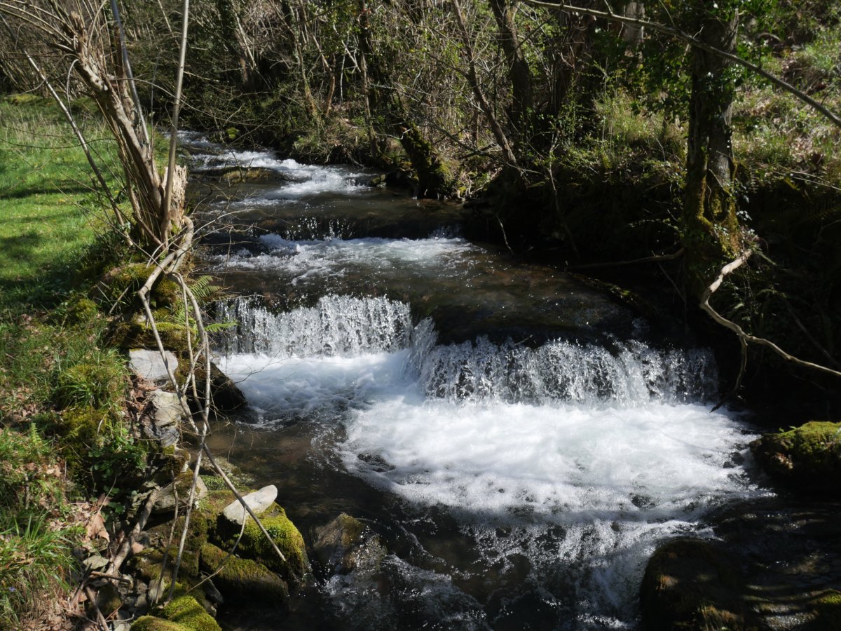Antzubiaga erreka, ur-jauzia baino beherago