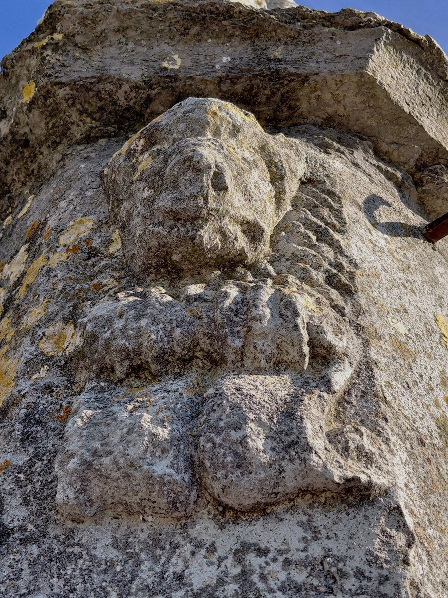 Mendozako Pikota. Gasteiz (Mendoza)