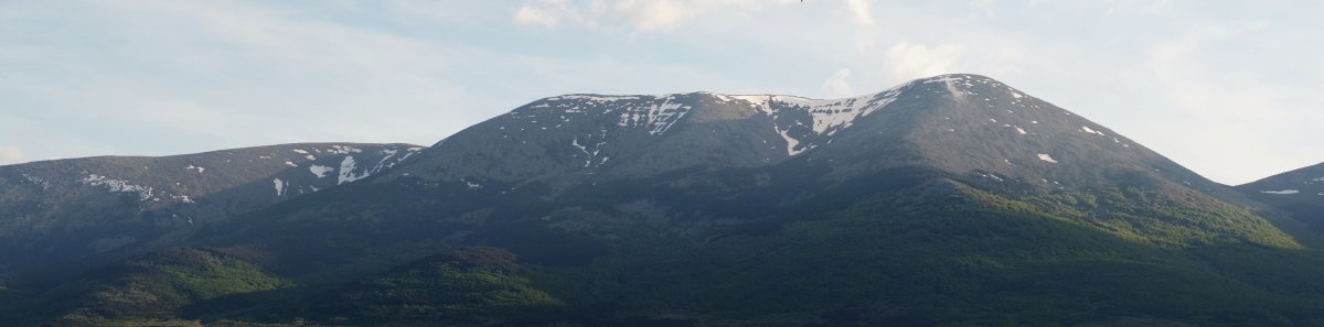 Moncayo