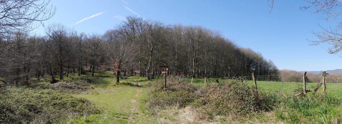 Gorrontz aldeko lepoa