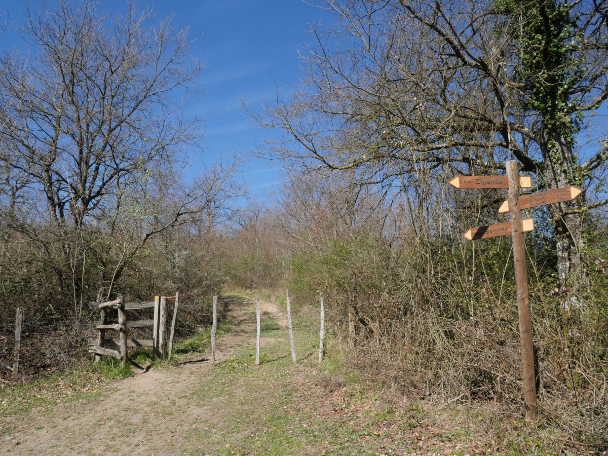 Arraldegaña, ekialdeko lepoko ataka