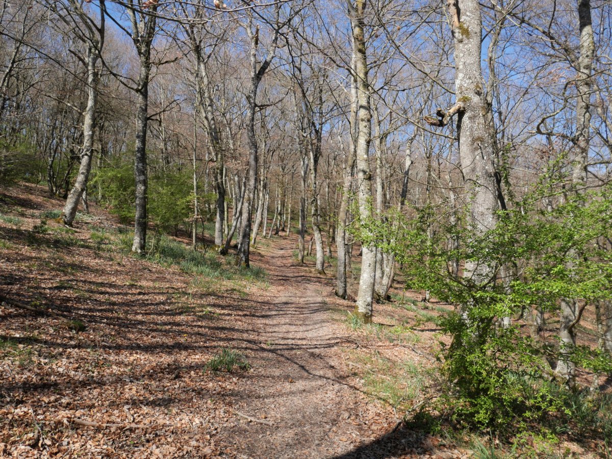 Gelbentzu aldeko bidea, Arraldegaña