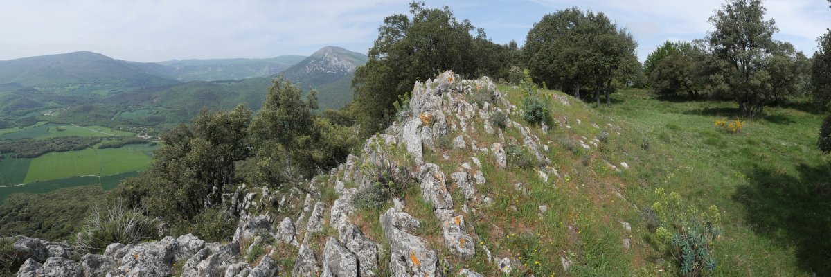 Peña del Mayo tontorra