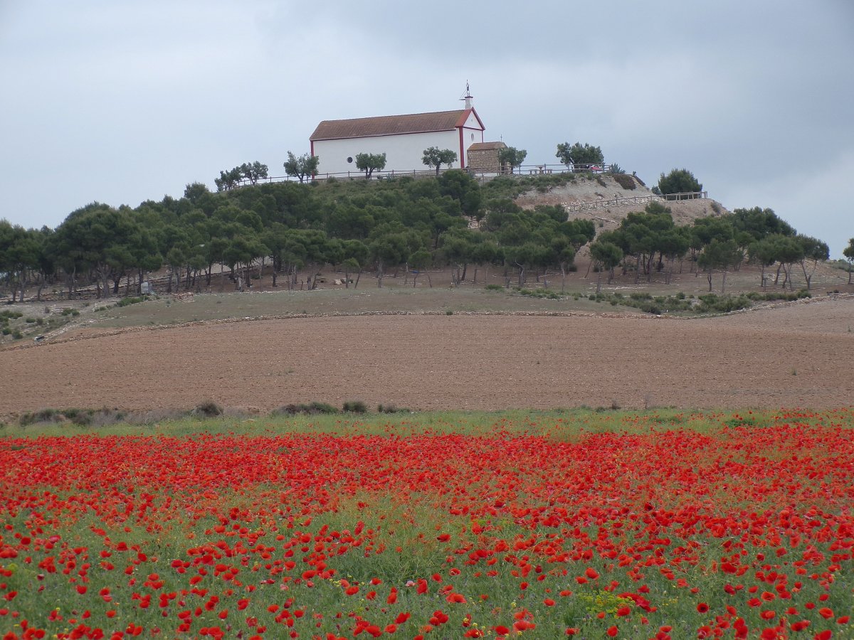 Santa Lucía Ermita. Fustiñana