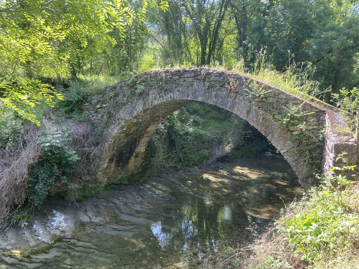 Ibarra Zubia. Aiara (Izoria)