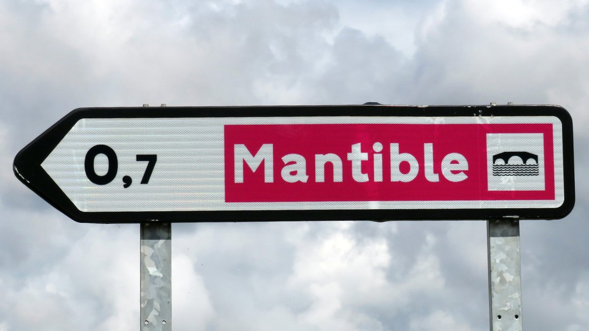 Mantible zubia, Laserna-Guardia