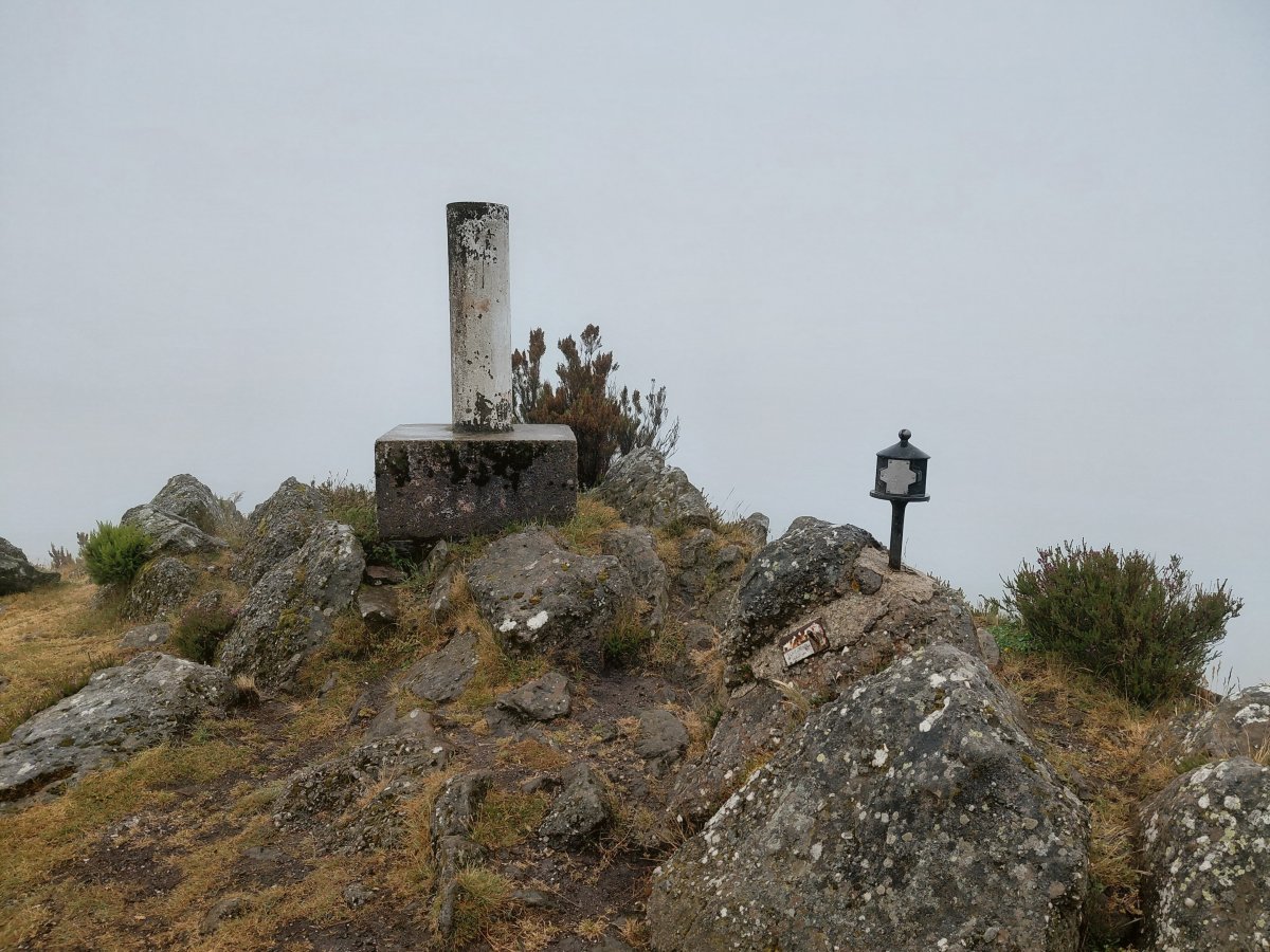 Tontorra