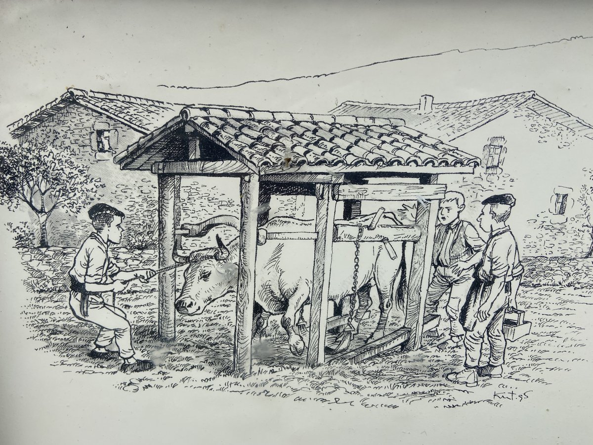 Perratokia. Gaubea (Lalastra)