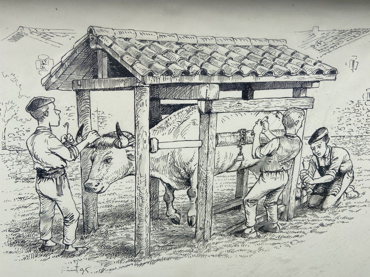 Perratokia. Gaubea (Lalastra)