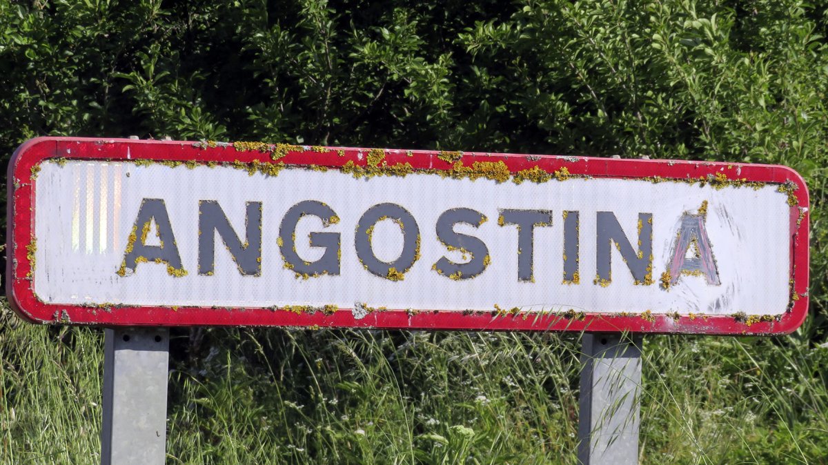 Angostina, Bernedo