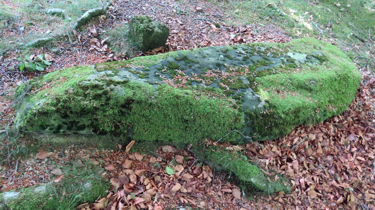 Leurza zutarria, Beintza-Labaien