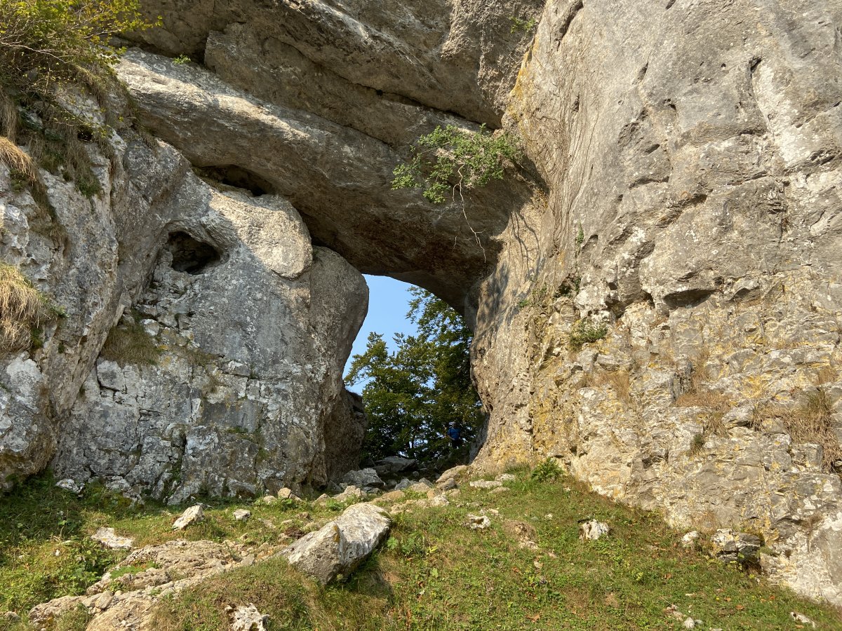 Atxulo