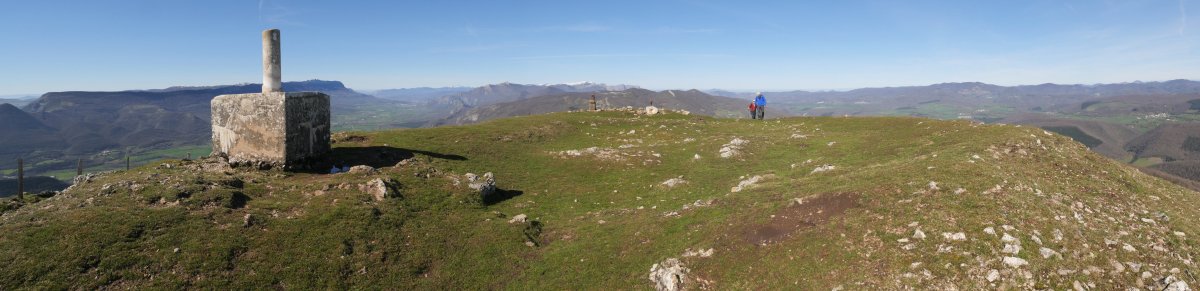 Erga tontorra
