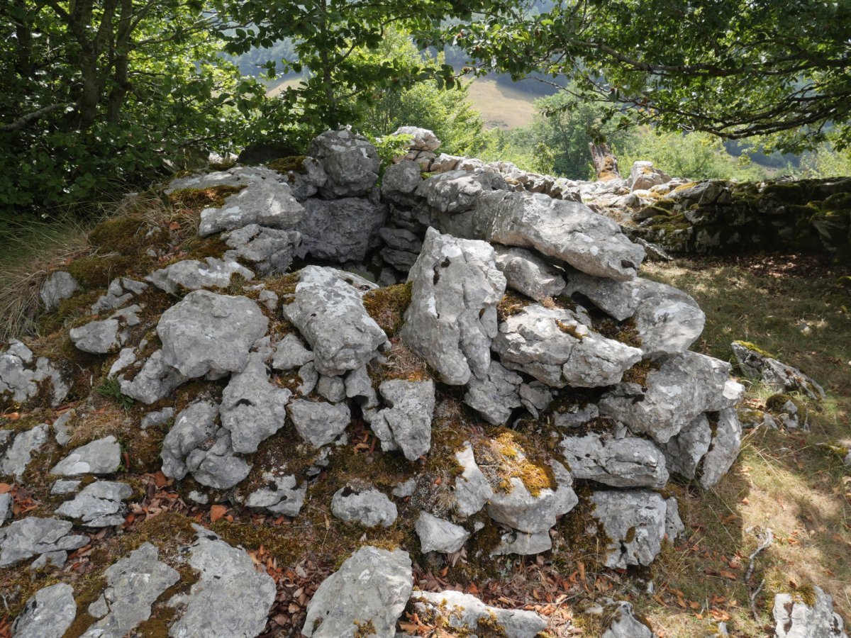 Aiapursare 1 arkue