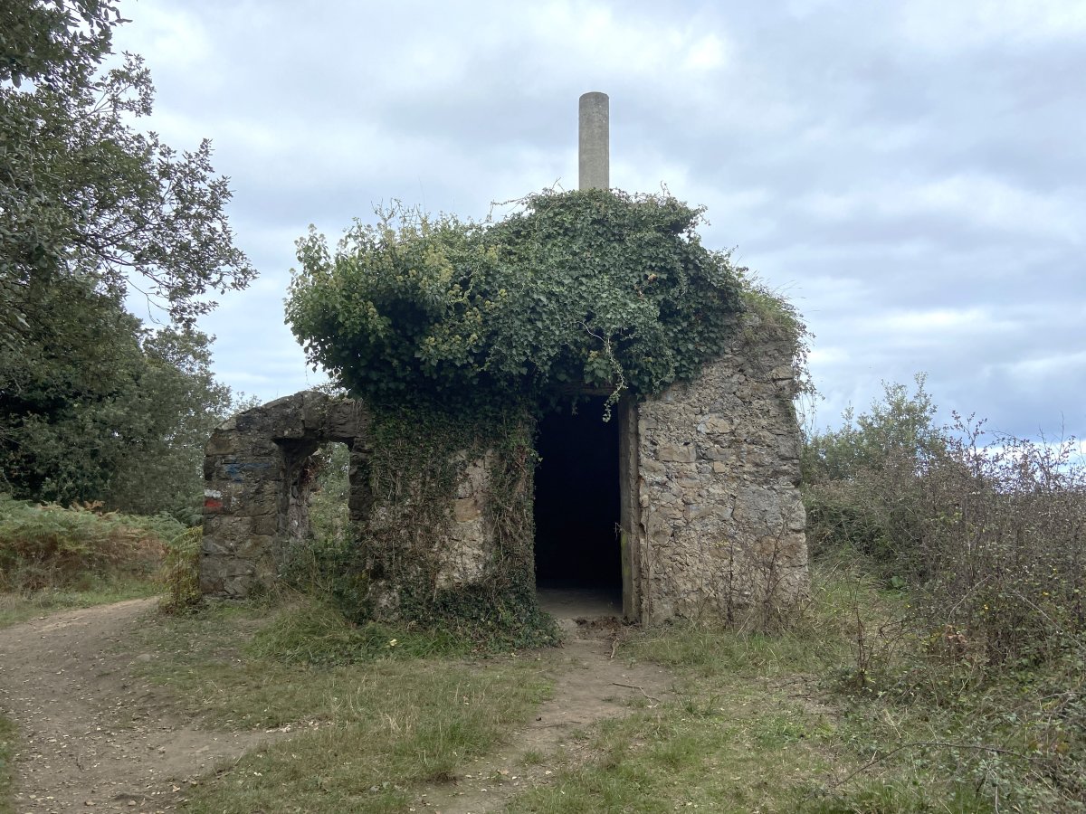 Tontorra