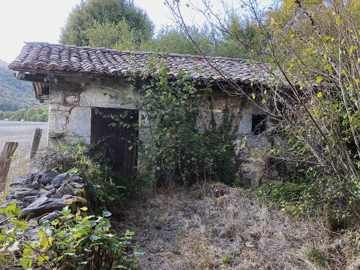 Andagoia Errota. Kuartango (Andagoia)
