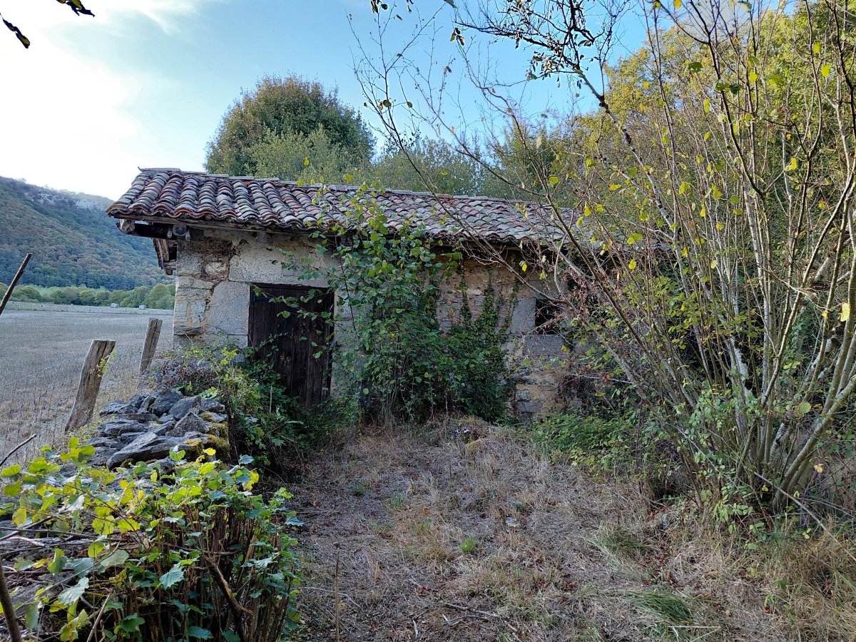 Andagoia Errota. Kuartango (Andagoia)