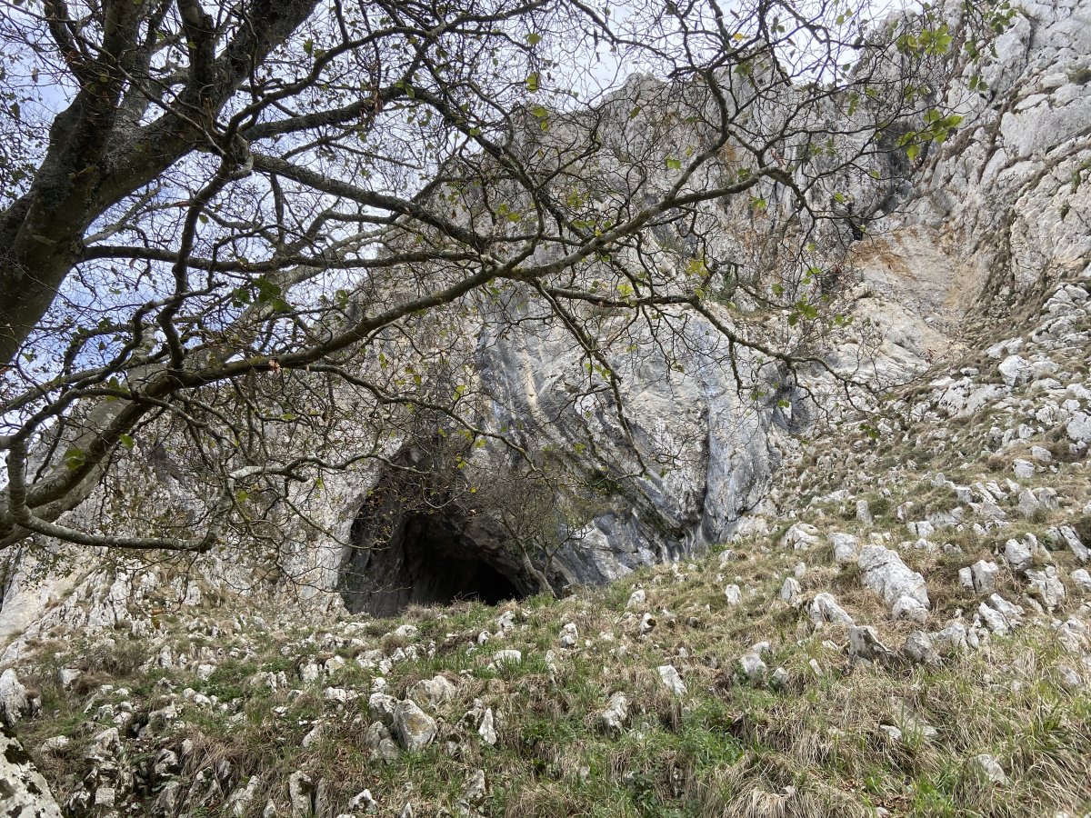 kobaso. Dima (Oba)